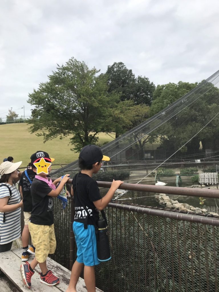 鞍 ヶ 池 公園 自転車